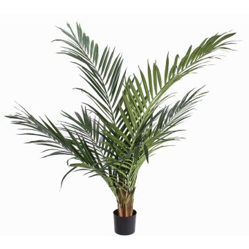 Palmera artificial Ravenea SANDRIN, crossdoor, 145cm