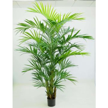 Palmera Kentia artificial PAIGE, 270cm Palmera Kentia artificial PAIGE, 270cm