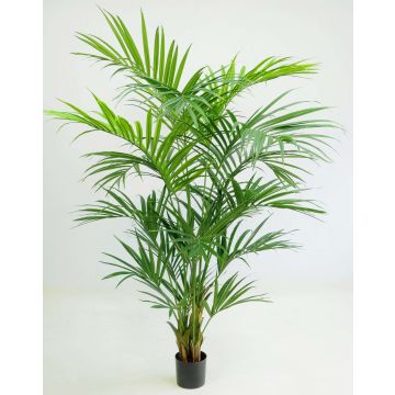 Palmera Kentia artificial PAIGE, 220cm Palmera Kentia artificial PAIGE, 220cm
