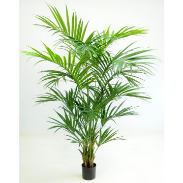 Palmera Kentia artificial PAIGE, 220 cm Palmera Kentia artificial PAIGE, 220 cm