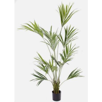 Palmera Kentia artificial PAIGE, 185cm Palmera Kentia artificial PAIGE, 185cm