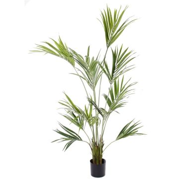 Palmera Kentia artificial PAIGE, 185 cm