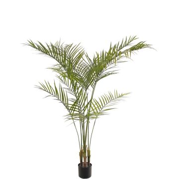 Palmera areca artificial AFENTIS, crossdoor, 165 cm