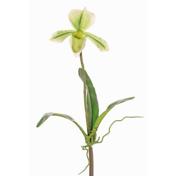 Orquídea Paphiopedilum artificial VELANA, varilla, verde-blanca, 40cm Orquídea Paphiopedilum artificial VELANA, varilla, verde-blanca, 40cm
