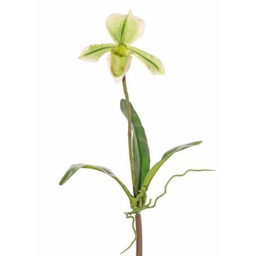 Orqu&iacute;dea Paphiopedilum artificial VELANA, varilla, verde y blanca, 40 cm