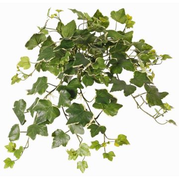 Hiedra artificial colgante ARJANA, varilla, crossdoor, verde-blanco, 50cm