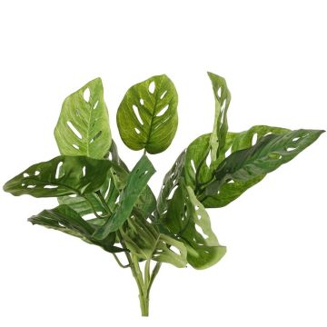 Filodendro artificial Monstera adansonii ARKADIO, varilla, 40 cm