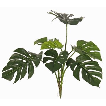 Filodendro decorativo Monstera Deliciosa CHANIA, crossdoor, varilla, 75cm Filodendro decorativo Monstera Deliciosa CHANIA, crossdoor, varilla, 75cm