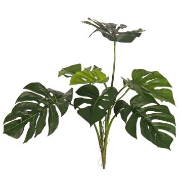 Filodendro decorativo Monstera Deliciosa CHANIA, crossdoor, varilla, 75 cm
