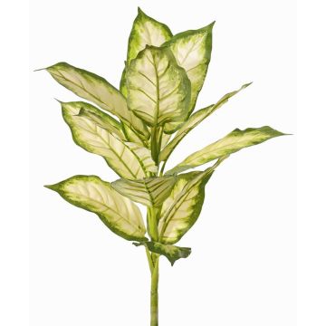 Dieffenbachia artificial VISP, difícilmente inflamable, varilla, verde-crema, 40cm Dieffenbachia artificial VISP, difícilmente inflamable, varilla, verde-crema, 40cm