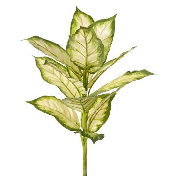 Dieffenbachia artificial VISP, difícilmente inflamable, varilla, verde-crema, 40 cm