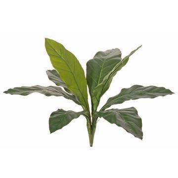 Planta artificial lirio WORB, crossdoor, varilla, verde, 70cm Planta artificial lirio WORB, crossdoor, varilla, verde, 70cm