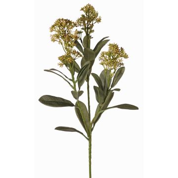Plantas artificiales Rama de skimmia LAUSANA con flores, verde, 65cm, Ø7cm