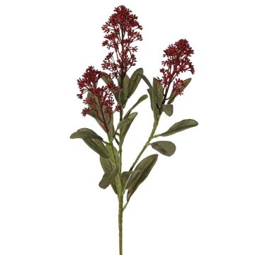 Plantas artificiales Rama de skimmia LAUSANA con flores, rojo burdeos, 65 cm