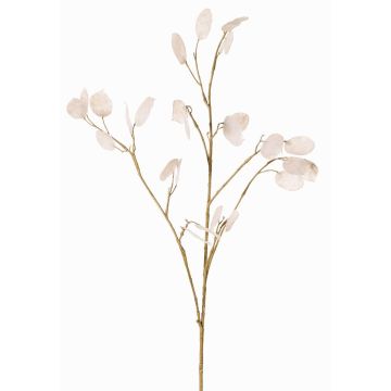 Planta artificial Rama de lunaria KONIA, crema, 95cm Planta artificial Rama de lunaria KONIA, crema, 95cm