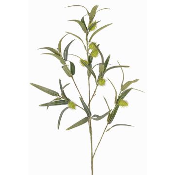 Epilobio falso Rama TASMIN, frutos, verde, 95cm Epilobio falso Rama TASMIN, frutos, verde, 95cm