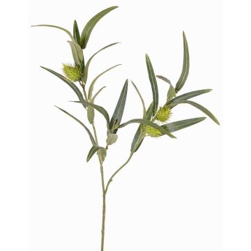 Rama de euforbia falsa TASMIN, frutos, verde, 65cm Rama de euforbia falsa TASMIN, frutos, verde, 65cm