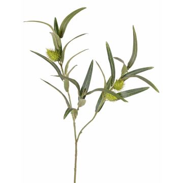 Rama de euforbia falsa TASMIN, frutos, verde, 65 cm