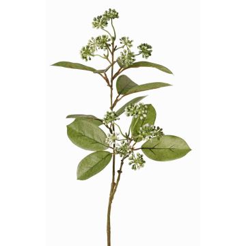 Rama de cornejo artificial PANGO con brotes, verde-blanco, 70cm, Ø7cm Rama de cornejo artificial PANGO con brotes, verde-blanco, 70cm, Ø7cm