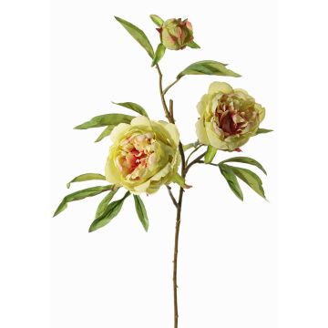 Rama de peonía artificial MANJA, verde-fucsia, 70cm, Ø8-10cm