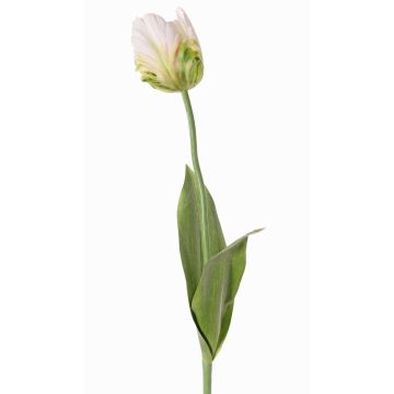 Flor artificial tulipán papagayo UAKARI, blanco-verde, 65cm, Ø6cm Flor artificial tulipán papagayo UAKARI, blanco-verde, 65cm, Ø6cm