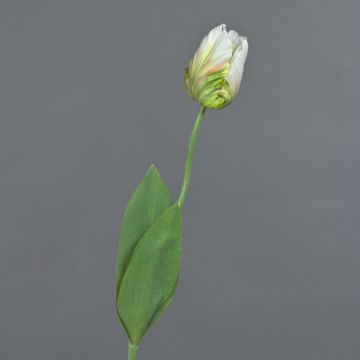 Flor artificial tulipán papagayo UAKARI, blanco-verde, 65 cm, Ø 6 cm