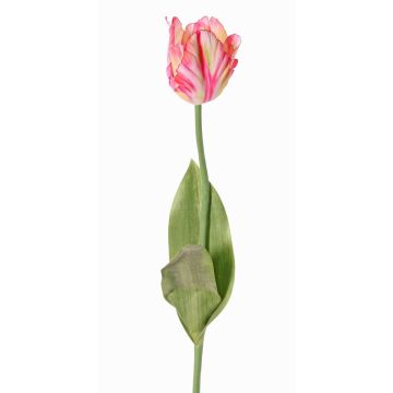 Flor artificial tulipán papagayo UAKARI, rosa-crema-verde, 65cm, Ø6cm Flor artificial tulipán papagayo UAKARI, rosa-crema-verde, 65cm, Ø6cm