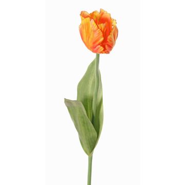 Flor artificial tulipán papagayo UAKARI, naranja-amarillo, 65cm, Ø6cm Flor artificial tulipán papagayo UAKARI, naranja-amarillo, 65cm, Ø6cm