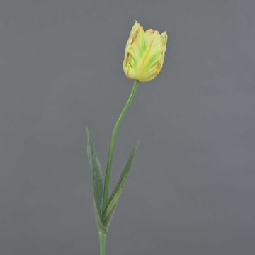 Flor artificial tulipán papagayo UAKARI, amarillo claro-verde-rosa, 65 cm, Ø 6 cm