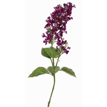 Rama decorativa de lila ADMIR, violeta oscuro, 80cm, Ø6-9cm