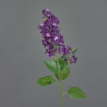 Rama decorativa de lila ADMIR, violeta oscuro, 80 cm