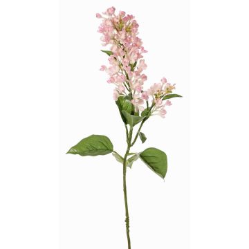 Rama decorativa de lila ADMIR, rosa-crema, 80cm, Ø6-9cm