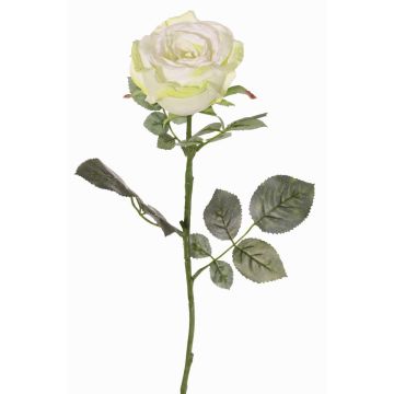 Rosa artificial HUSA, blanco-verde, 75cm, Ø10cm Rosa artificial HUSA, blanco-verde, 75cm, Ø10cm