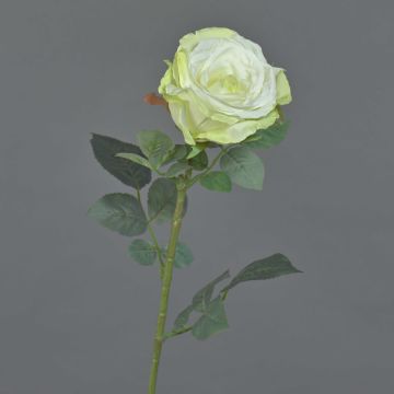 Rosa artificial HUSA, blanco-verde, 75 cm, Ø 10 cm