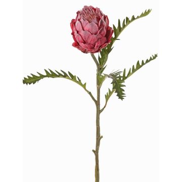 Protea artificial BREGANSA, fucsia envejecido, 65cm, Ø7cm