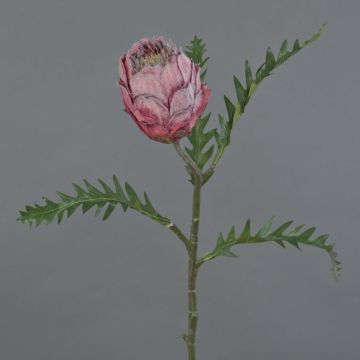 Protea artificial BREGANSA, rosa viejo, 65 cm, Ø 8 cm Protea artificial BREGANSA, rosa viejo, 65 cm, Ø 8 cm