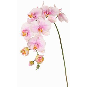 Rama decorativa de orquídea Phalaenopsis WESA, rosa y blanca, 100 cm