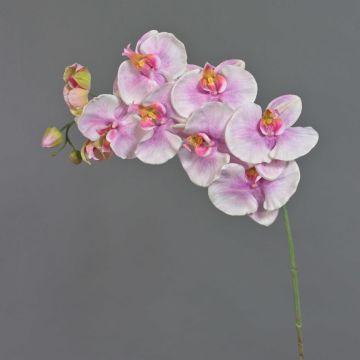 Rama decorativa de orquídea Phalaenopsis WESA, rosa y blanca, 100 cm