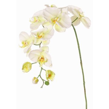 Rama decorativa de orquídea Phalaenopsis WESA, blanca y verde, 100 cm Rama decorativa de orquídea Phalaenopsis WESA, blanca y verde, 100 cm