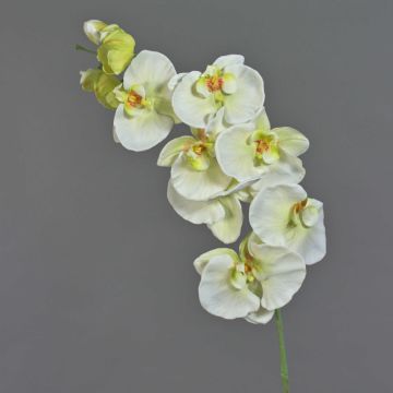 Rama decorativa de orquídea Phalaenopsis WESA, blanca y verde, 100 cm