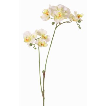 Rama de flor artificial de orquídea Phalaenopsis VILLANI, blanco-verde, 60cm, Ø3,5-5cm