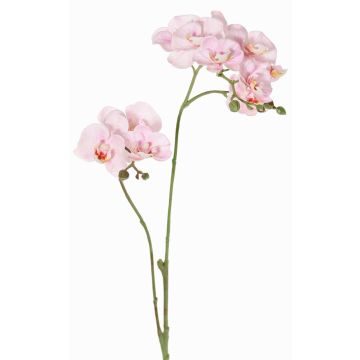 Rama de flor artificial de orquídea Phalaenopsis VILLANI, rosa-blanco, 60cm, Ø3,5-5cm