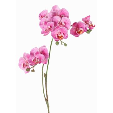 Rama artificial de flor Phalaenopsis VILLANI, rosa-fucsia, 60cm, Ø3,5-5cm Rama artificial de flor Phalaenopsis VILLANI, rosa-fucsia, 60cm, Ø3,5-5cm
