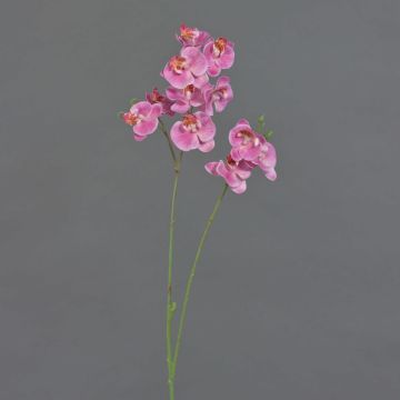 Rama artificial de flor Phalaenopsis VILLANI, rosa-rosa, 65 cm