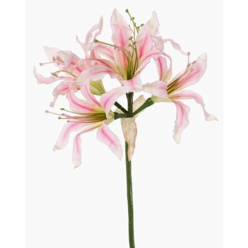 Flor artificial de amarilis de jardín KUSTANA, rosa crema, 70 cm, Ø 20 cm Flor artificial de amarilis de jardín KUSTANA, rosa crema, 70 cm, Ø 20 cm