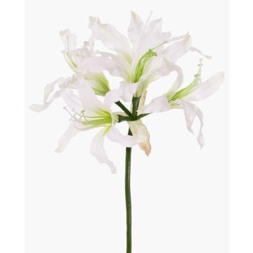 Flor artificial de amarilis de jardín KUSTANA, blanca, 70 cm, Ø 20 cm Flor artificial de amarilis de jardín KUSTANA, blanca, 70 cm, Ø 20 cm