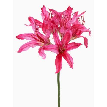 Flor artificial de amarilis de jardín KUSTANA, rosa, 70 cm, Ø 20 cm Flor artificial de amarilis de jardín KUSTANA, rosa, 70 cm, Ø 20 cm