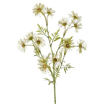 Marguerita artificial KORNELA, verde, 70 cm, Ø 6 cm