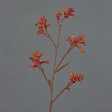 Flor decorativa de canguro LEOBER, rojo anaranjado, 75 cm