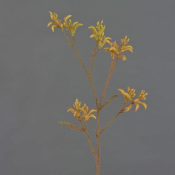 Flor decorativa de canguro LEOBER, amarillo anaranjado, 75 cm